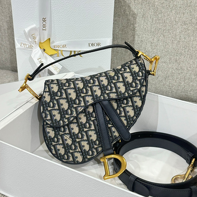 디올 새들백 미니